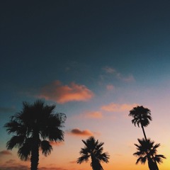 A N D Y. A. S A L O M O N.