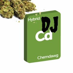 DJ Chemdawg