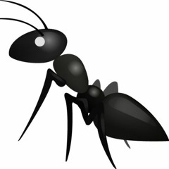 Anthony Ant