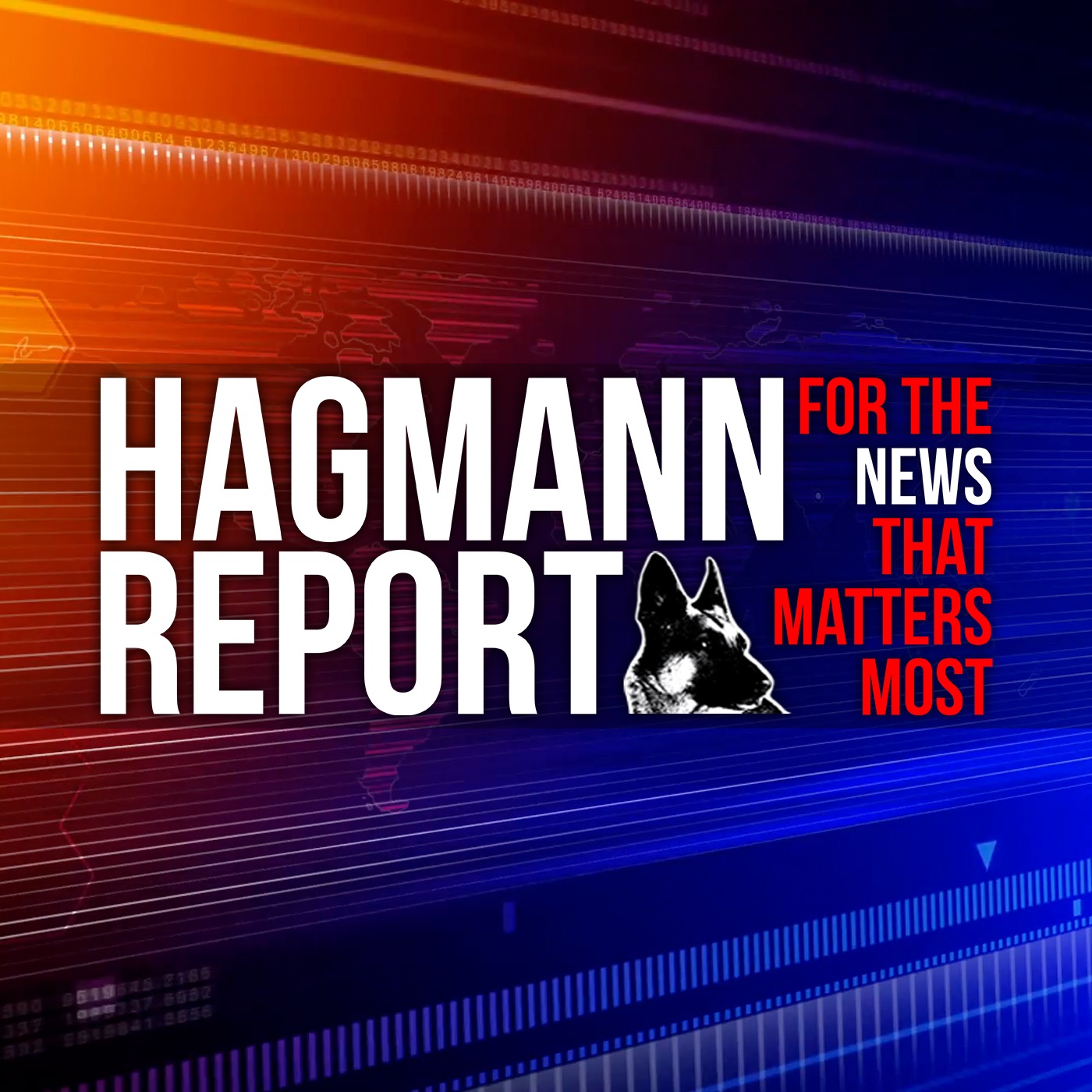 Hagmann Report