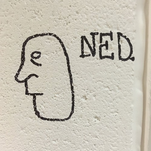 NED. Records’s avatar