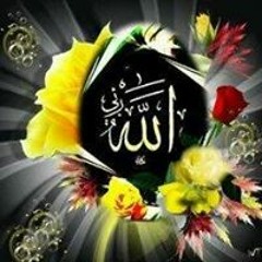 تامر حسني
