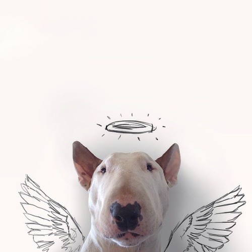 SoundCloud profile picture for @tanase
