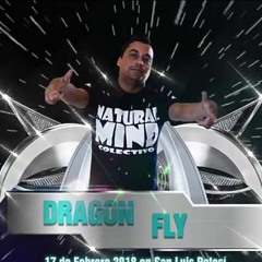 djdragonfly-3DT