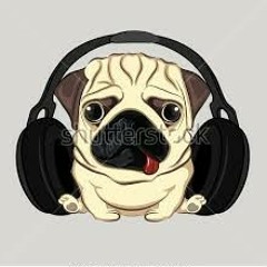 PugLifeGaming07