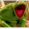 Kermit the frog