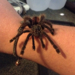 Ethan (QuiteTheOddOne)