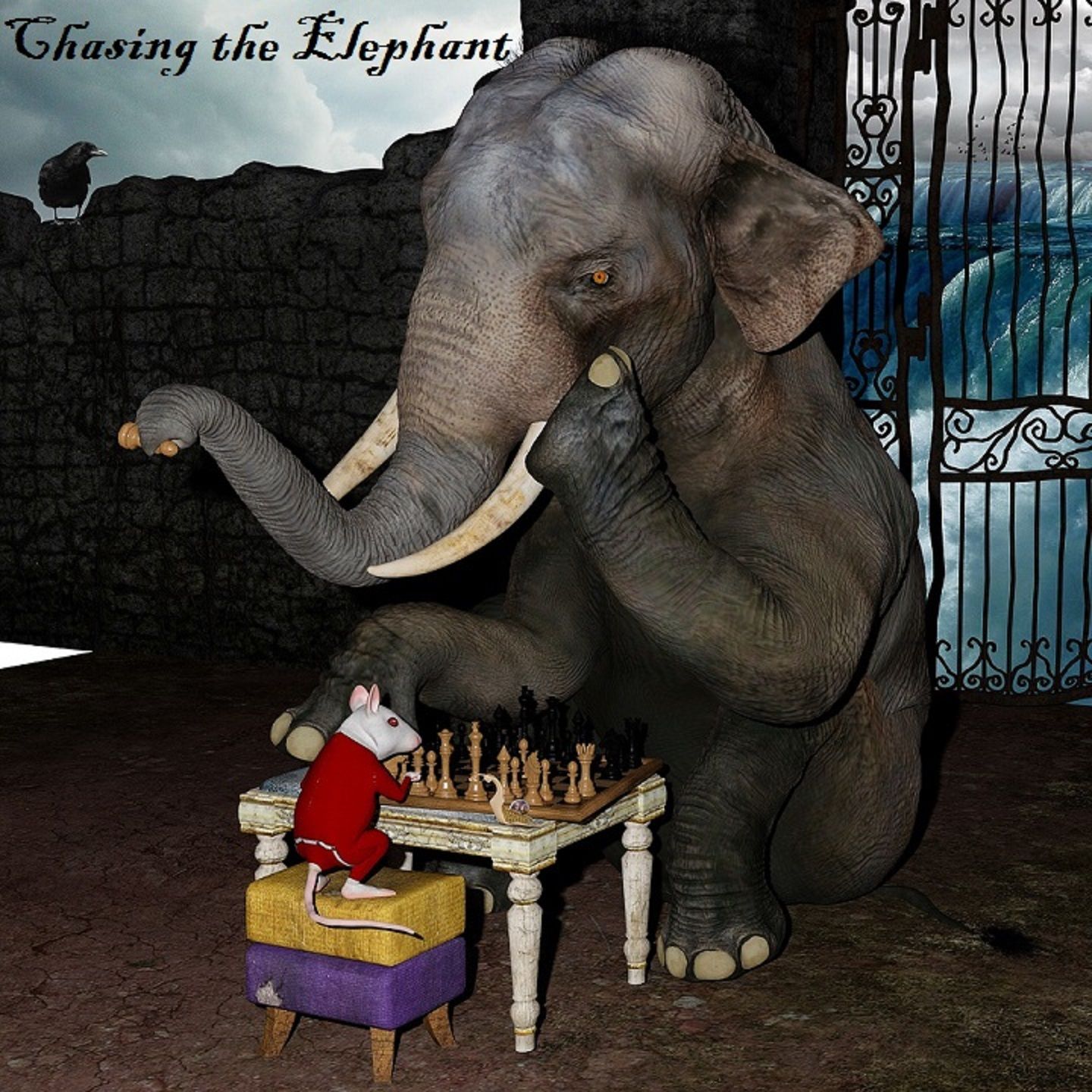Chasing the Elephant