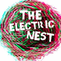 The Electric Nest Records
