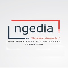 NGEDIA ...New GeNeration Digital Agency