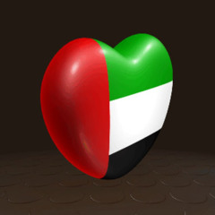 Hisham Alhussain