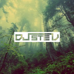 DJ Ste-V