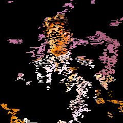 Anjith KRiX