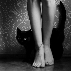 Ai que Saudade D ocê-maria_lua380.mp3