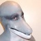 Dolphin Dude