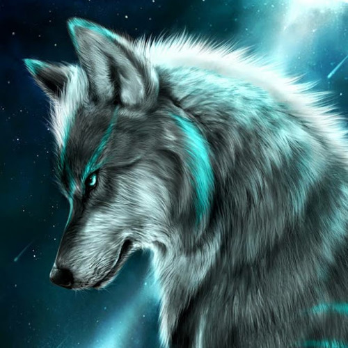 Wolf King’s avatar