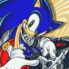 SONIC THE SELECTOR