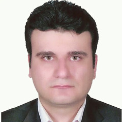 Mohammad Mehdi Lotfinejad