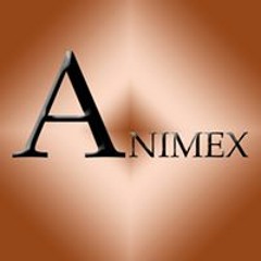 Animex Instrumentales
