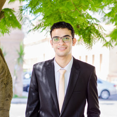 ahmed shehatta