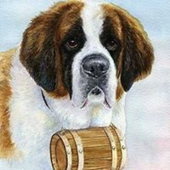 Niemand weet djamila misfits 2