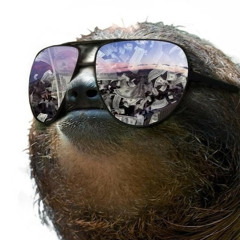 OneAwesomeSloth