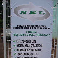 Alisson Gabriel