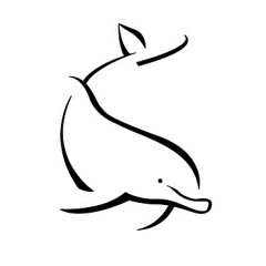 D3rpy D0lphin Gaming