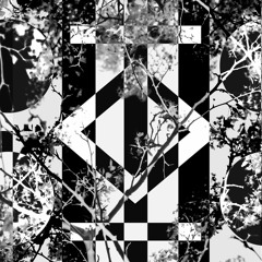 Patterns Alight