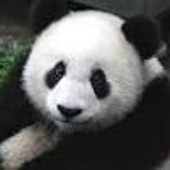 User 458155941
