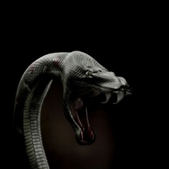 SnakeShift.exe