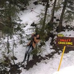 Preeti Sharma Purohit