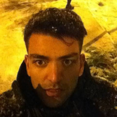 mohammad reza badiefar