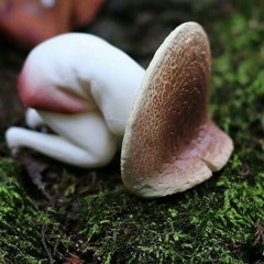 Charlie Puth - Up all Night (cover)(Gotta sing again...)