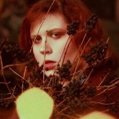 Darya Danketsuu