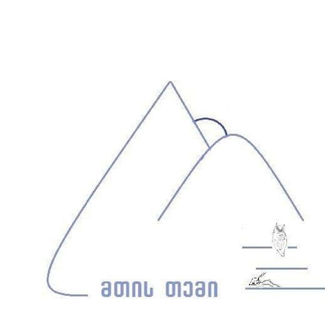 მთისთემი’s avatar