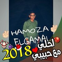 Hamoza Elgamal
