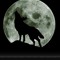 wolfie wolf