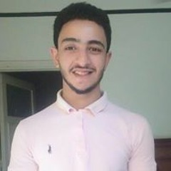 Mahmoud Adel Tantawy