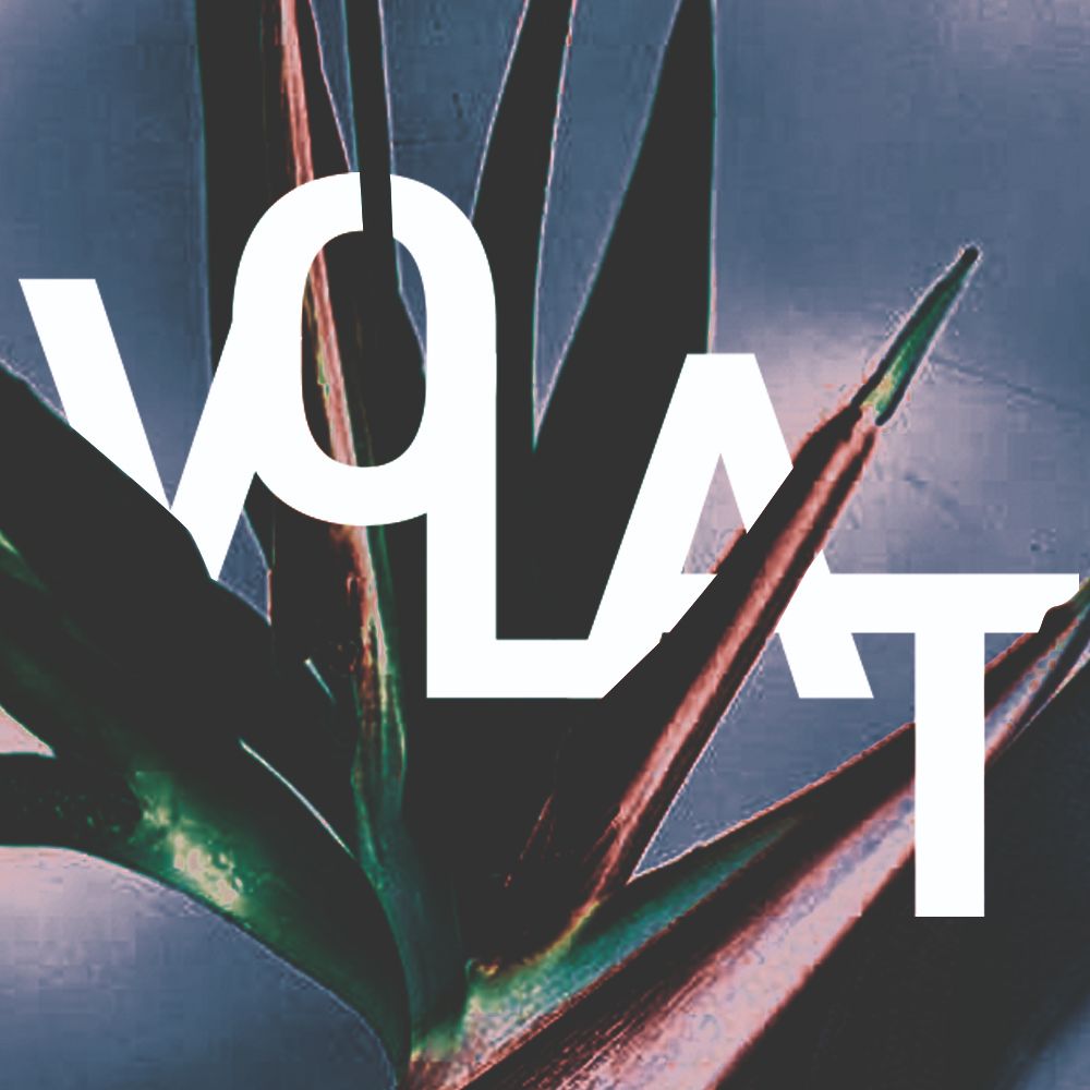 Volat