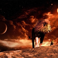 The night lion
