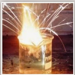 FrendShip Session Nahko Bear And Mihali Savoulidis