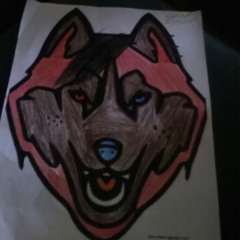 meme the wolf