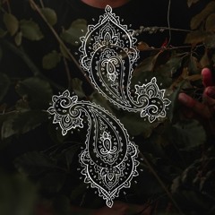 Tai Paisley