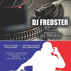 DJFREDSTER