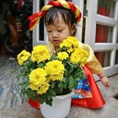 Nhựt Levi's