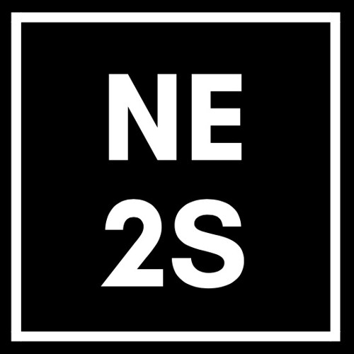 NE2S’s avatar