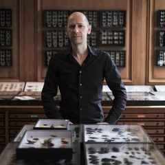 Fabrice Ravel-Chapuis