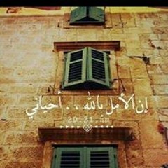 د. احمد اﻻعور