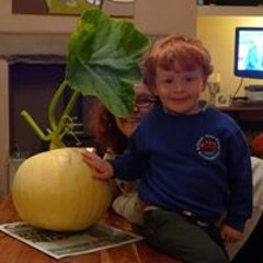 Joanna Beacroft-Mitchell